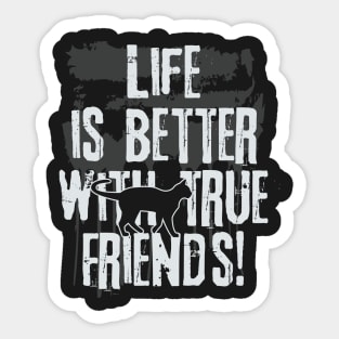 Life is better with true friends - Cat 2 Sticker